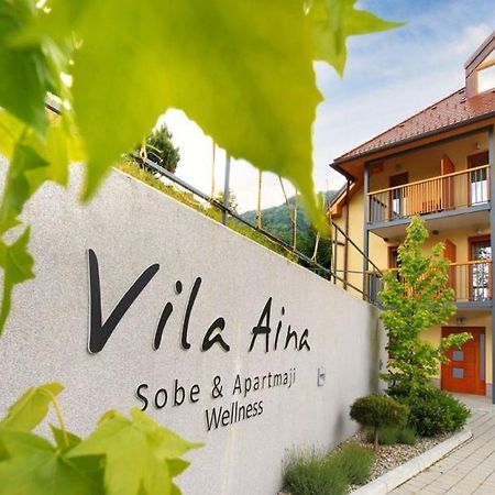 Villa Aina Boutique Hotel Lasko Bagian luar foto
